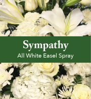 All White Easel Spray