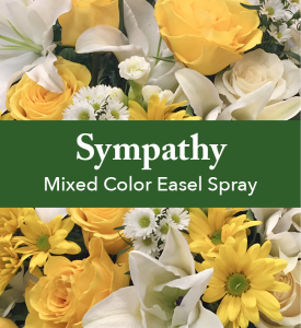 Mixed Color Easel Spray