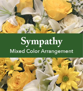 Mixed Color Sympathy Arrangement