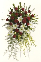 Red and White Standing Spray 20BSS