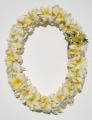 PLUMERIA LEI   SOLD OUT UNTIL JULY 8TH  NO SHIPPING AVAILABLE