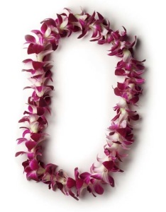 Bombay Orchid Single Lei  