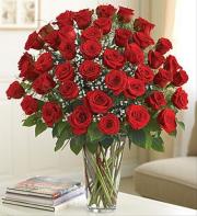 36 RED ROSES ARRANGED