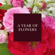 FLOWERS FOR A YEAR
