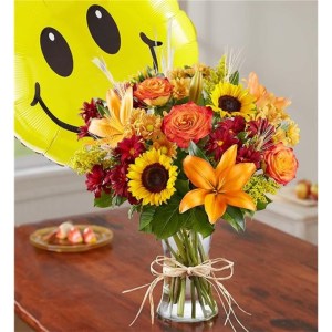 Fields of Europe for Fall With Jumbo Smile Balloon