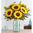 Sunshine & Happiness by Real Simple