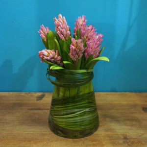 Hyacinth Classic