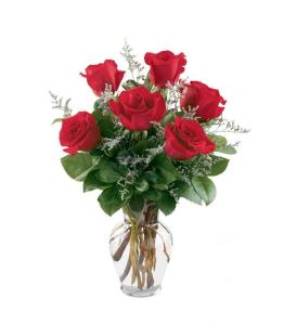 6 Red Roses vased