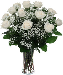 1 Doz White Roses