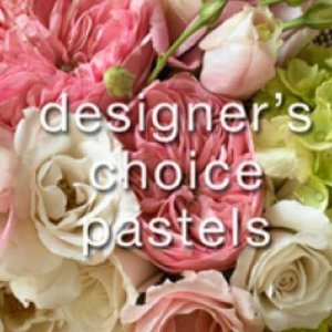 Designer\'s Choice Pastels