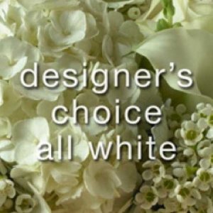 Designer\'s Choice All White