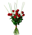 Bouquet of 10 Red Roses