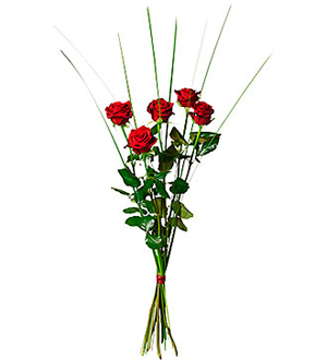 Bouquet of 5 Red Roses