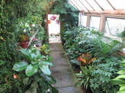 The West Greenhouse