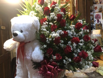 TEDDY AND ROSES