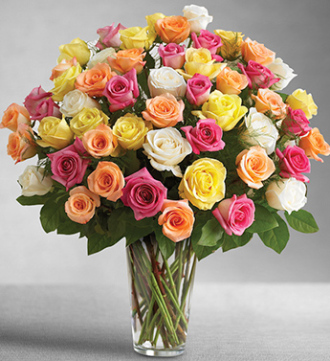 Ultimate Elegance Premium Long Stem Assorted Roses