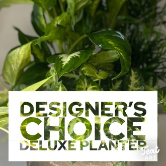 Deluxe Planter Designer\'s Choice