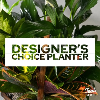 Planter Designer\'s Choice