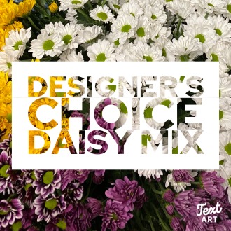 Daisy Mix Designer\'s Choice