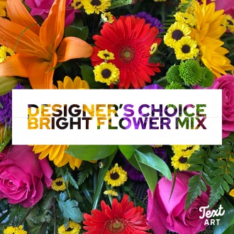 Bright & Bold Designer\'s Choice