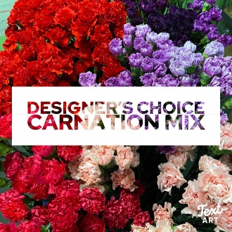 Carnation Mix Designer\'s Choice