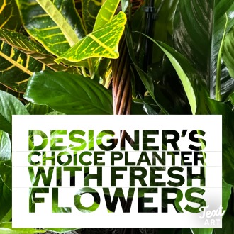 Planter Designer\'s Choice with Fresh Flowers