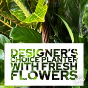 Planter Designer's Choice with Fresh Flowers
