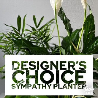 Sympathy Planter Designer\'s Choice