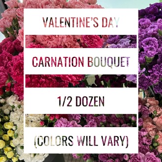 Valentine’s Day MIXED COLORED CARNATIONS Bouquet