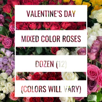 Valentine’s Day MIXED DOZEN ROSES Bouquet