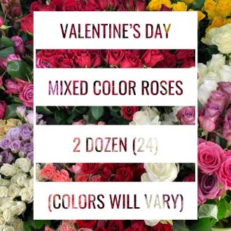 Valentine’s Day MIXED COLORED ROSES Bouquet