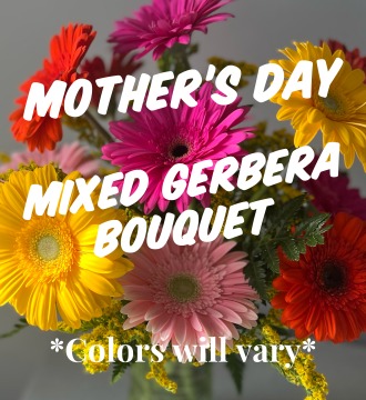 Mother\'s Day Designer\'s Choice Gerbera
