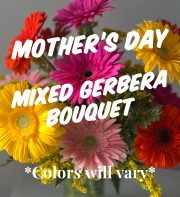 Mother's Day Designer's Choice Gerbera
