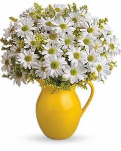 TF Sunny Day Pitcher of Daisies