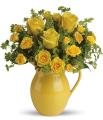TF Sunny Day Pitcher of Roses