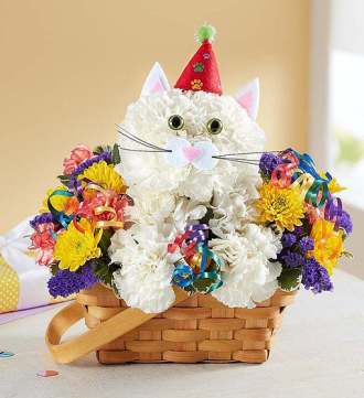 1-800-Flowers Purrfect Party Cat