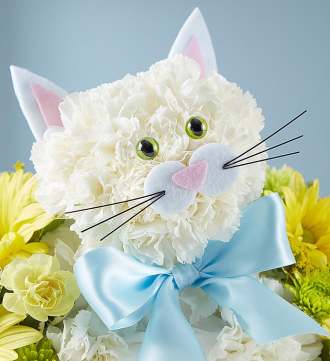 1-800-Flowers Fabulous Feline for Baby Boy