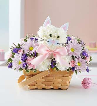 1-800-Flowers Fabulous Feline for Baby Girl