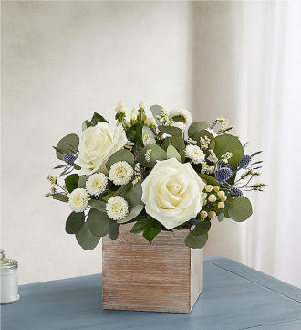 1-800-FLOWERS Country Pearl Succulent Bouquet