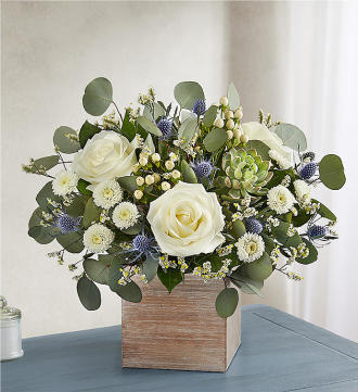 1-800-FLOWERS Country Pearl Succulent Bouquet