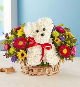 1-800-Flowers a-DOG-able in a Basket