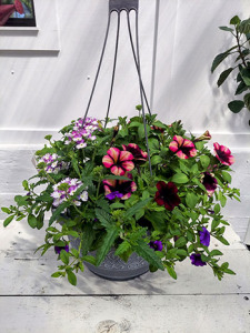 Designer Hanging Plant Basket