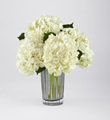 The FTD Ivory Hydrangea Bouquet by Vera Wang