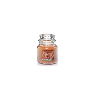 Yankee Candle Sugar & Spice Lg. Jar