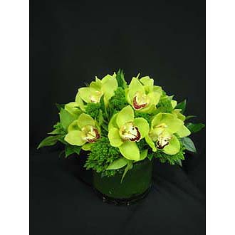 Autumn Green Orchid Centerpiece Bqt