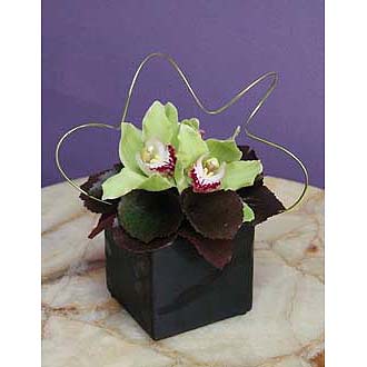 Orchids N Greens in Ceramic Cube