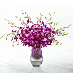 The FTD® Pink at Heart™ Orchid Bouquet