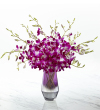 The FTD Pink at Heart Orchid Bouquet