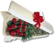DZ ROSES BOXED