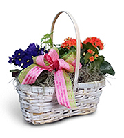 Flowers By Bauers Blooming Garden Basket